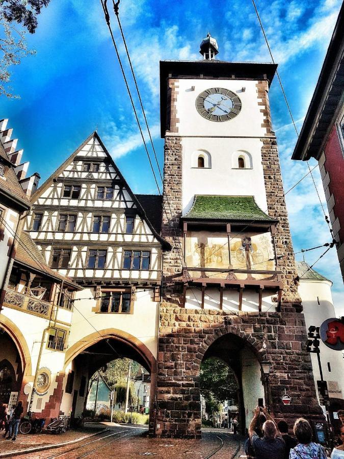 Historical Luxury Homes - Stadtvilla Mit Jacuzzi Und Garten Freiburg im Breisgau Luaran gambar